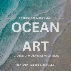 Individualūs Ocean art 3D mokymai