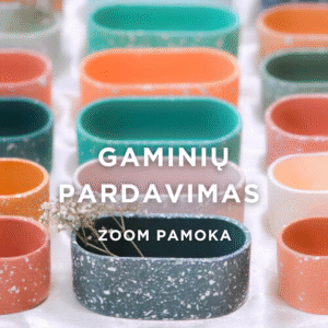 Kaip ir kur parduoti gaminius? ZOOM pamoka